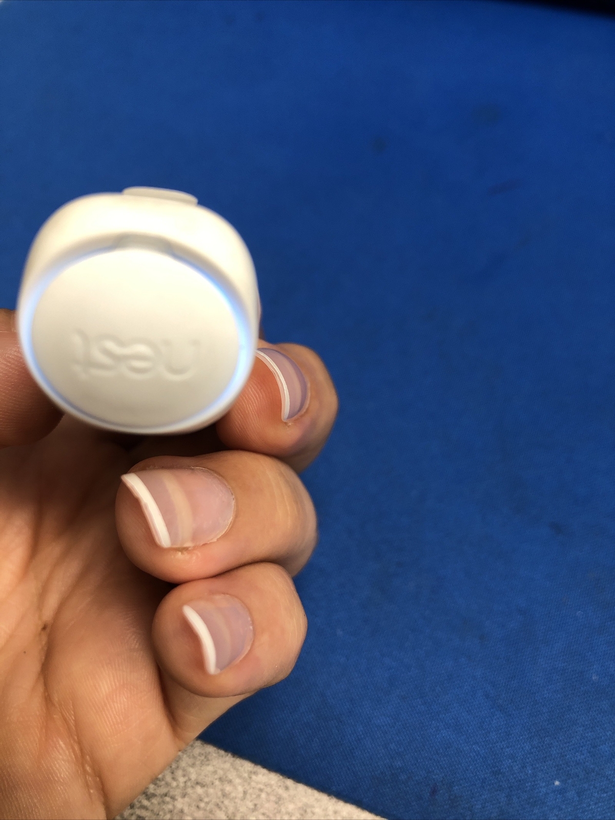 GOOGLE NEST SECURE ALARM SYSTEM DETECT SENSOR DOOR WINDOW NEST SENSOR