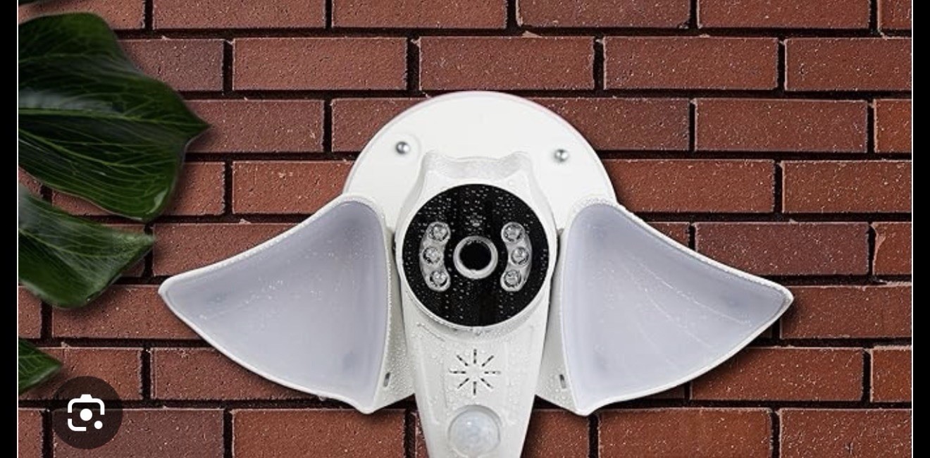 Bubo Outdoor Floodlight Camera WiFi 1080P Security Cam, PIR Motion Sensor
