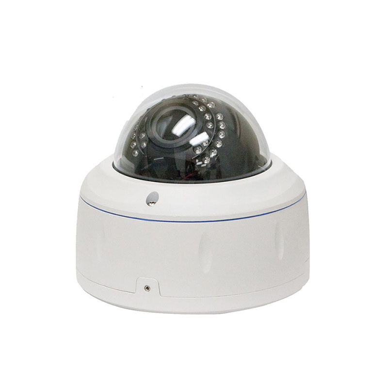5MP High Definition 1920P Dome PoE Sony-CMOS IP Security Camera Adjust Lens P1