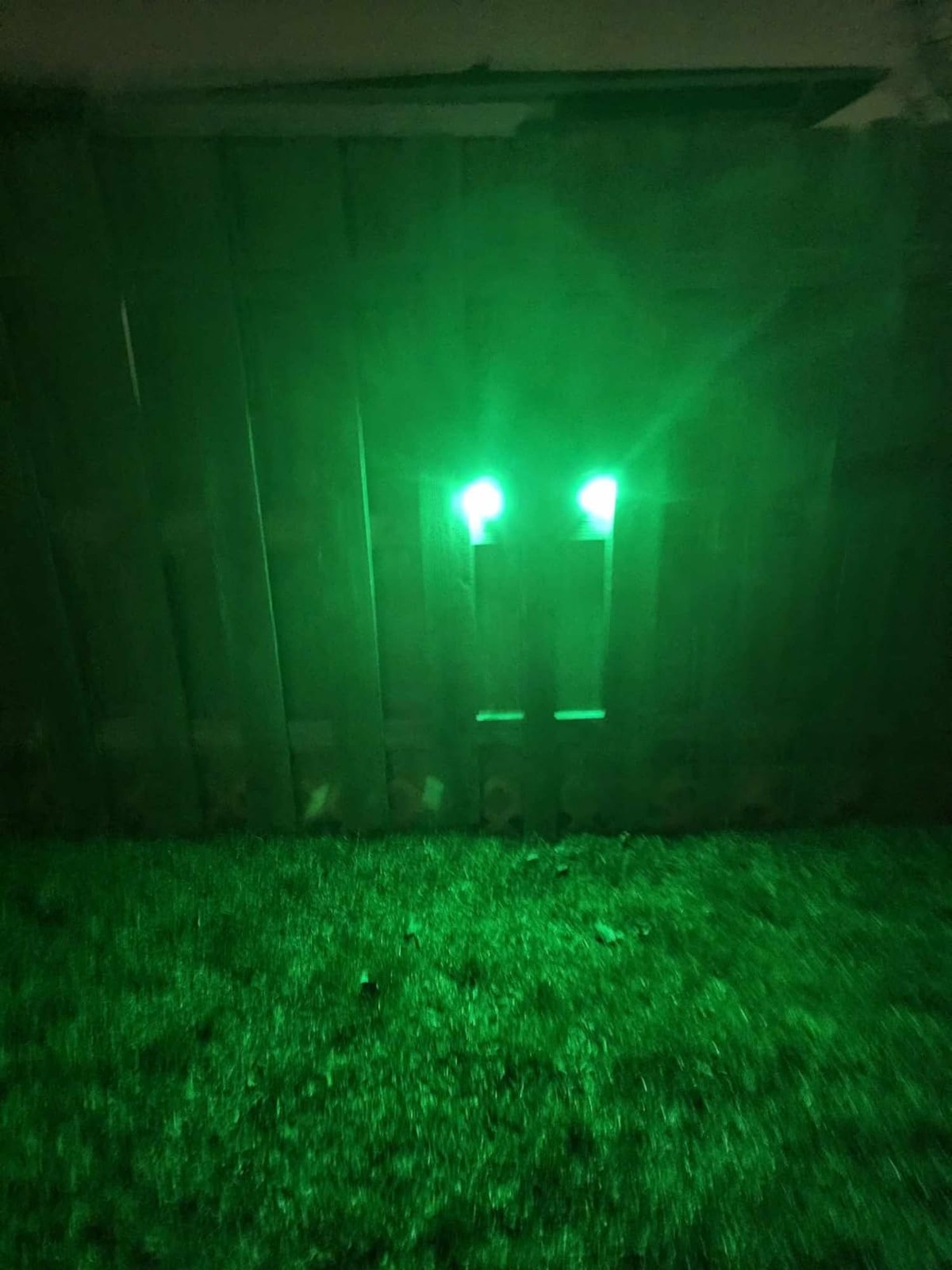 LILBEES Solar Deer Feeders Lights Motion Activated Green Hog G300