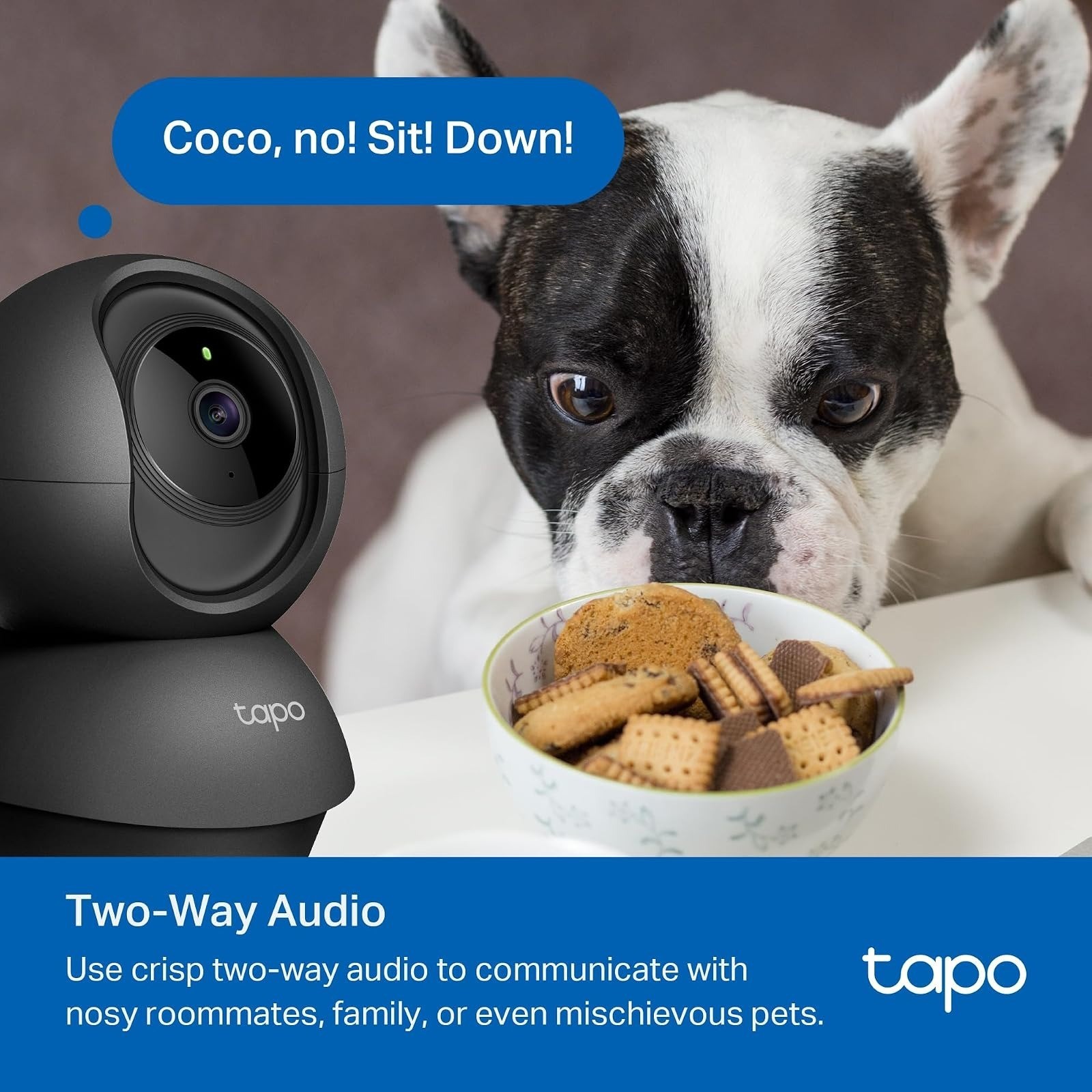 1080P Indoor Pan/Tilt Security Camera – Night Vision, 2-Way Audio, Black