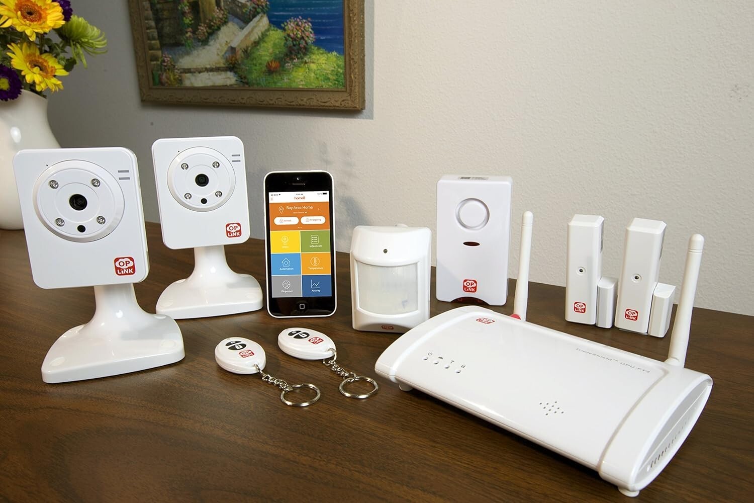 OPlink Security TripleShield Wireless Security System 2-Camera (OPG2201)