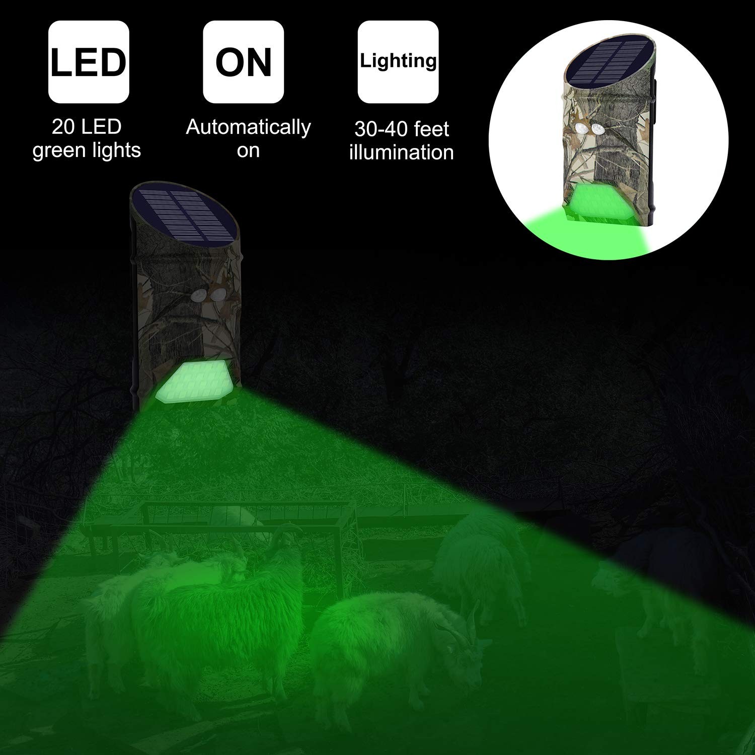 LILBEES Solar Deer Feeders Lights Motion Activated Green Hog G300