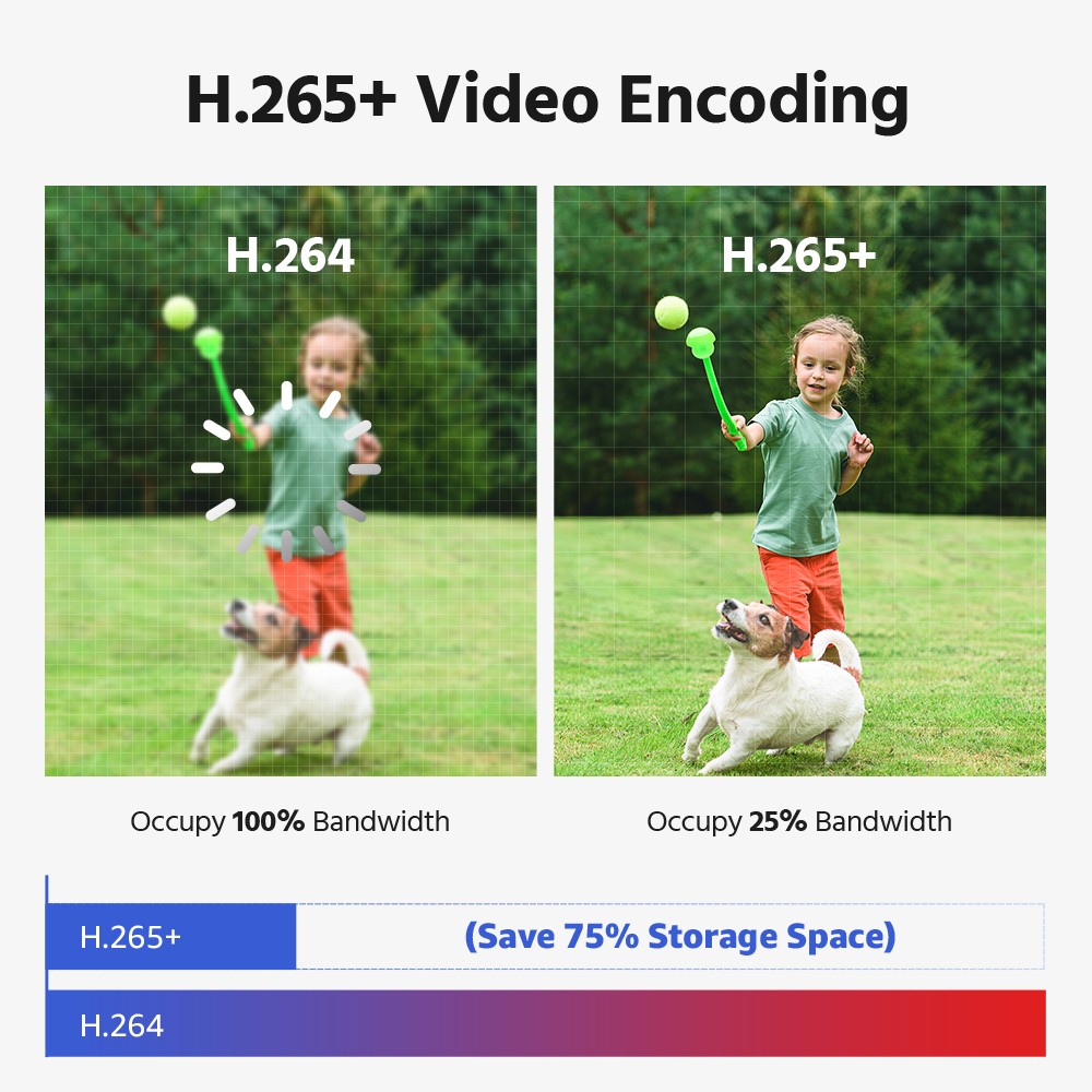 ANNKE 16CH NVR 4K POE Dual Lens Security Camera System Two Way Audio Color Night