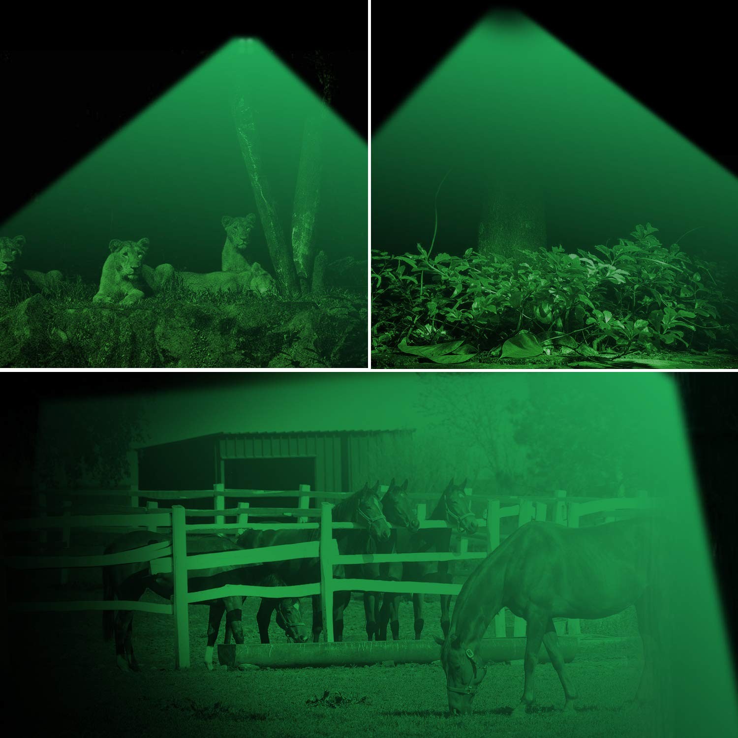 TRAIL WATCHER Deer Feeder Light Hog Hunting Green Spotlight PIR F1