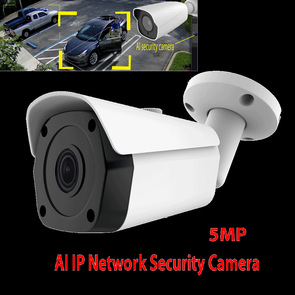 5MP SONY Starvis AI 5000 face IP ONVIF POE Smart IR SD Slot Security camera