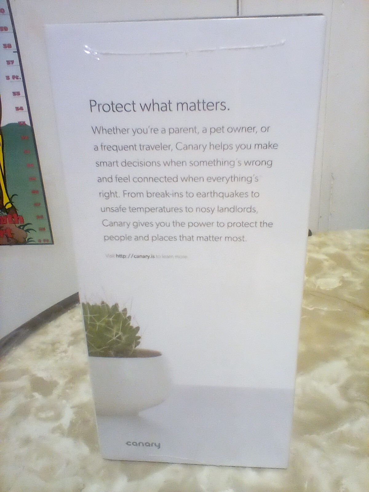 Canary home security