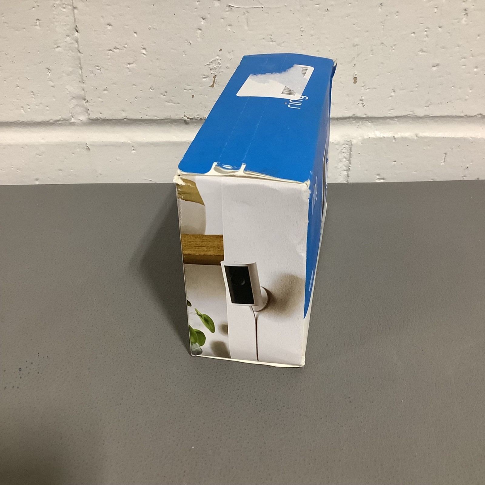 Ring Indoor Cam Plus (Plug in)- Retinal Vision 2K Camera