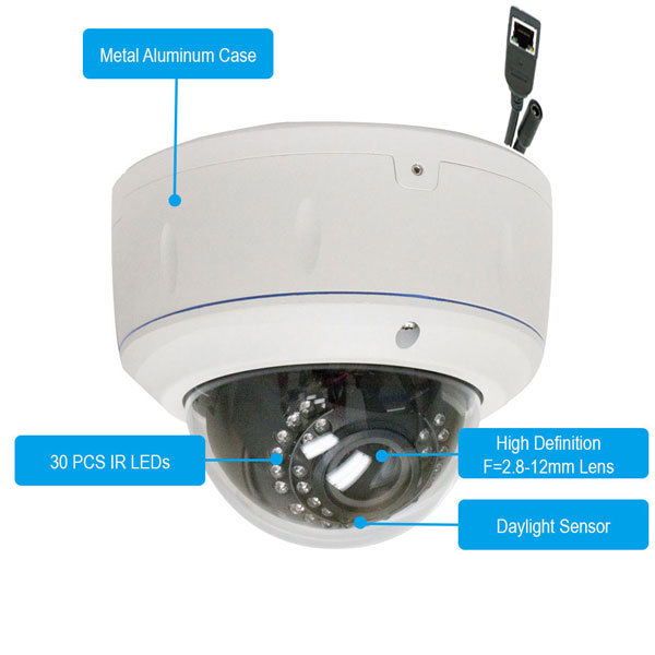 5MP High Definition 1920P Dome PoE Sony-CMOS IP Security Camera Adjust Lens P1