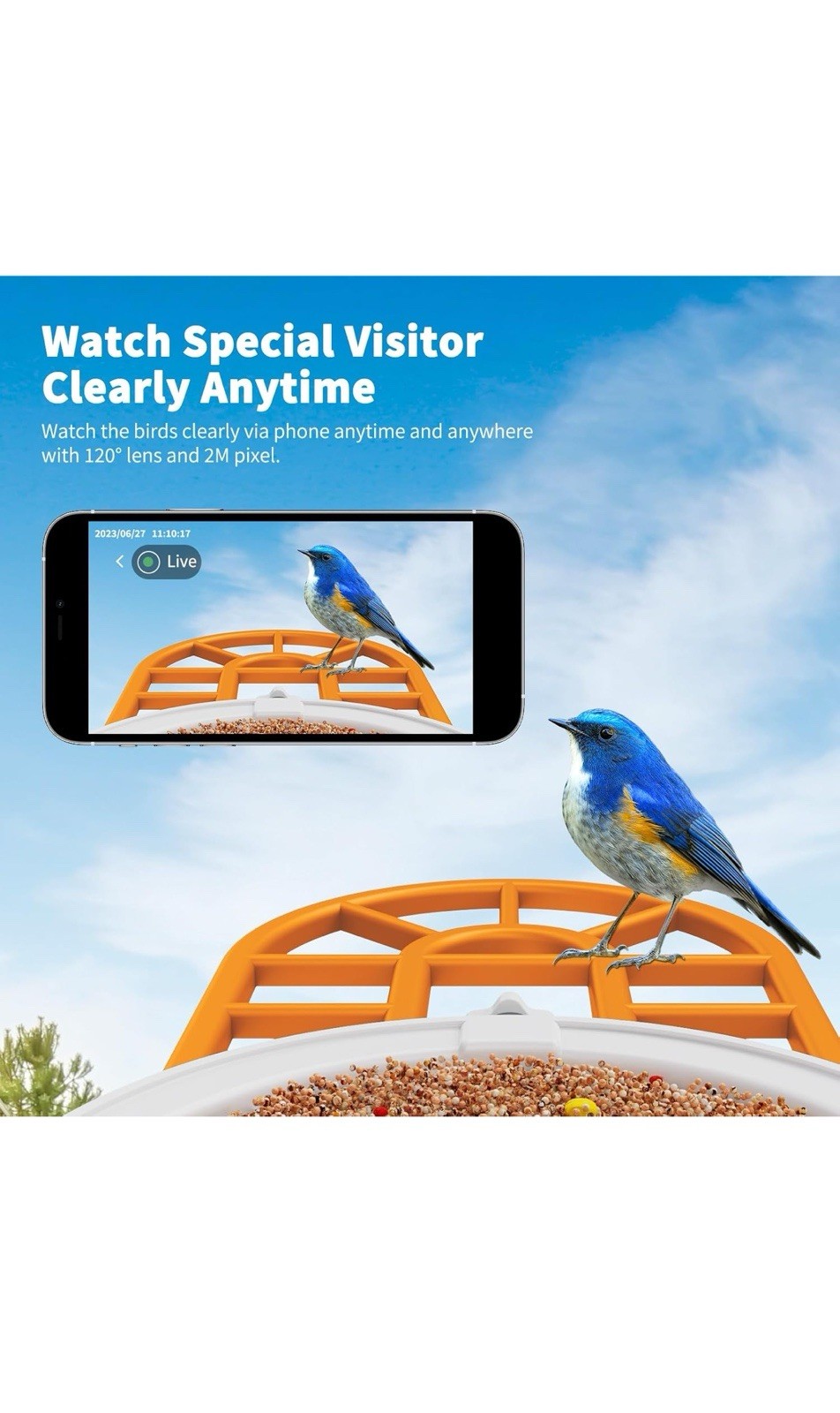 Bird Feeder Camera wi Motion Detection, Solar Powered, WiFi, 1080P HD 160 Degree