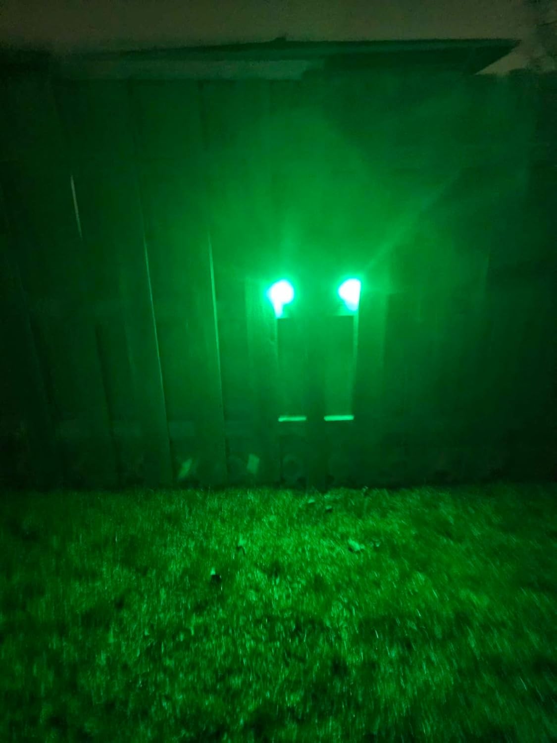 Solar Powered Hog Feeder Light-Motion-Activated for Hogs,Deer,Pig G300
