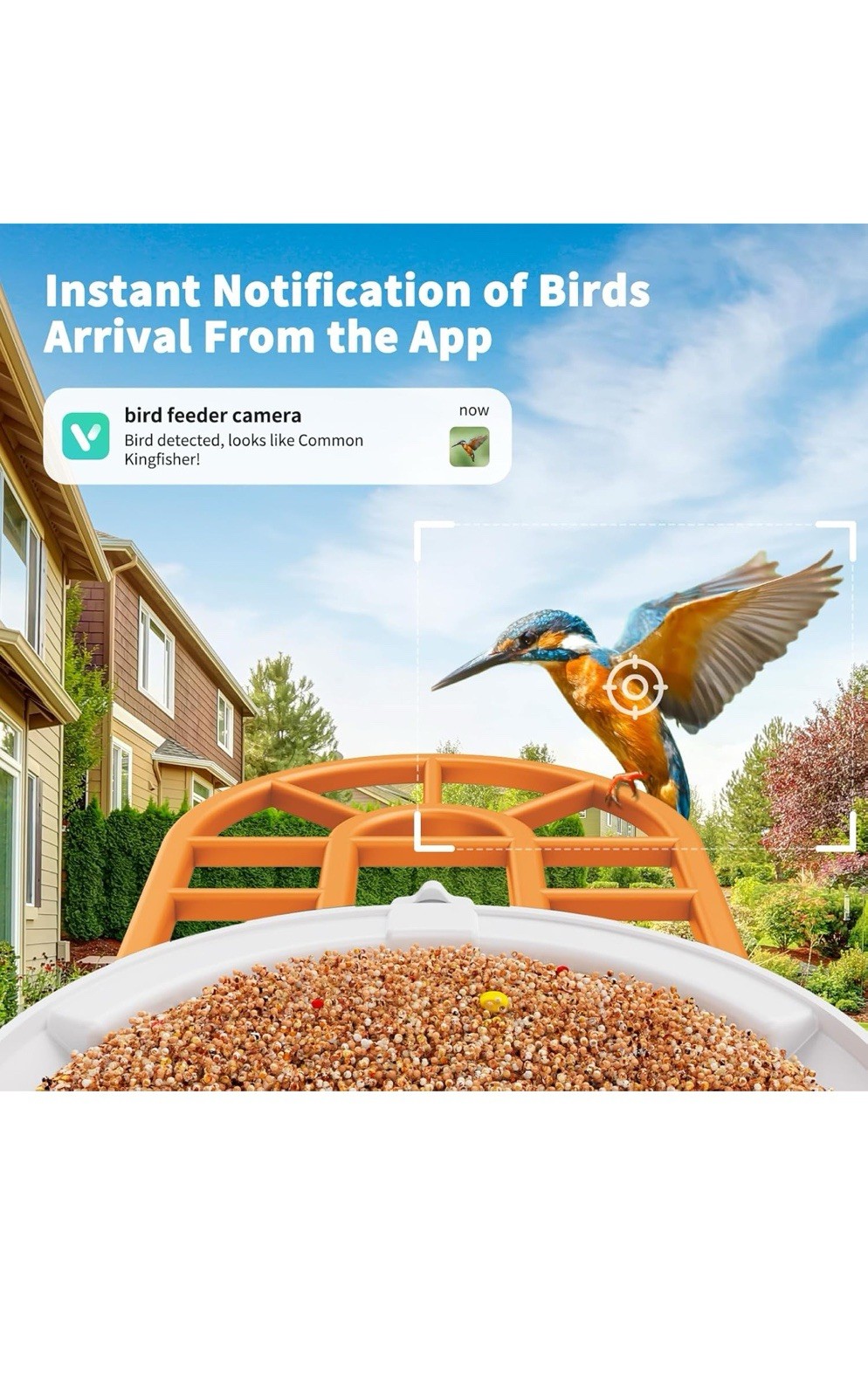 Bird Feeder Camera wi Motion Detection, Solar Powered, WiFi, 1080P HD 160 Degree