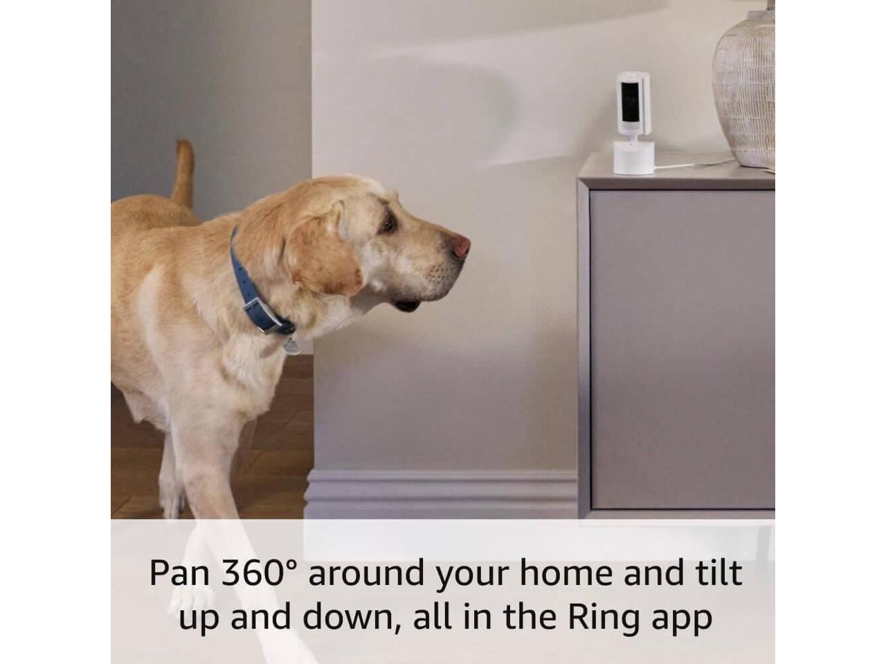 Ring Pan-Tilt Indoor Wired 1080p Surveillance Camera, Black | 81-655-037