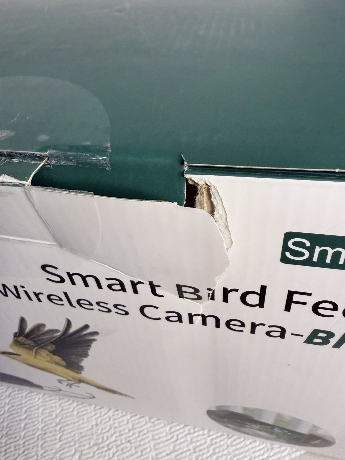 Soliom BF-08 Smart Bird Wireless Outdoor Camera Green
