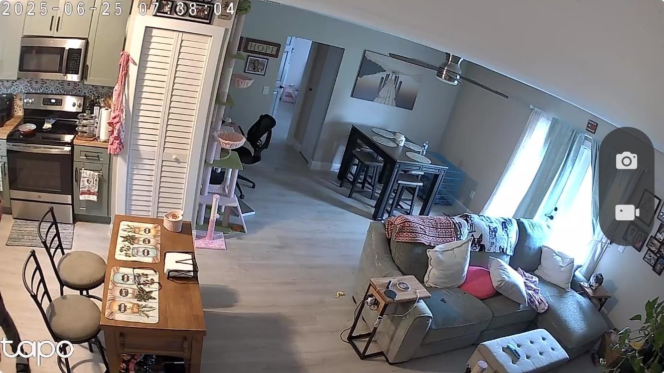 TP-Link C100 1080P Indoor WiFi Camera Baby Monitor Pet Cam Motion Audio
