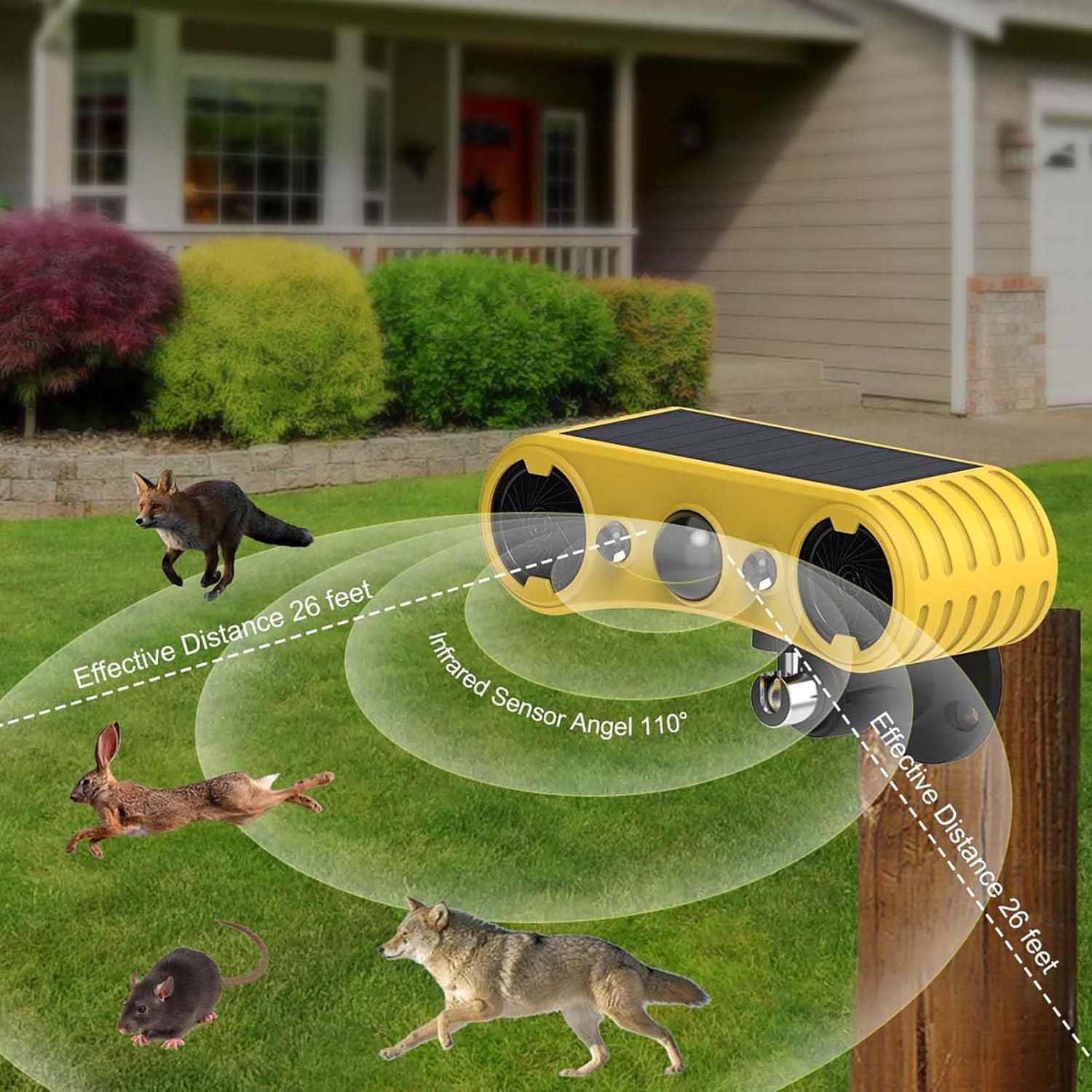 Solar Sound Strobe Motion Sensor Alarm,LED Red Blue Flashing Warning Light Ou…