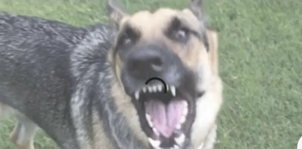 Wireless Home Security Motion Sensor for Electronic Barking Dog K9 Burglar Alarm