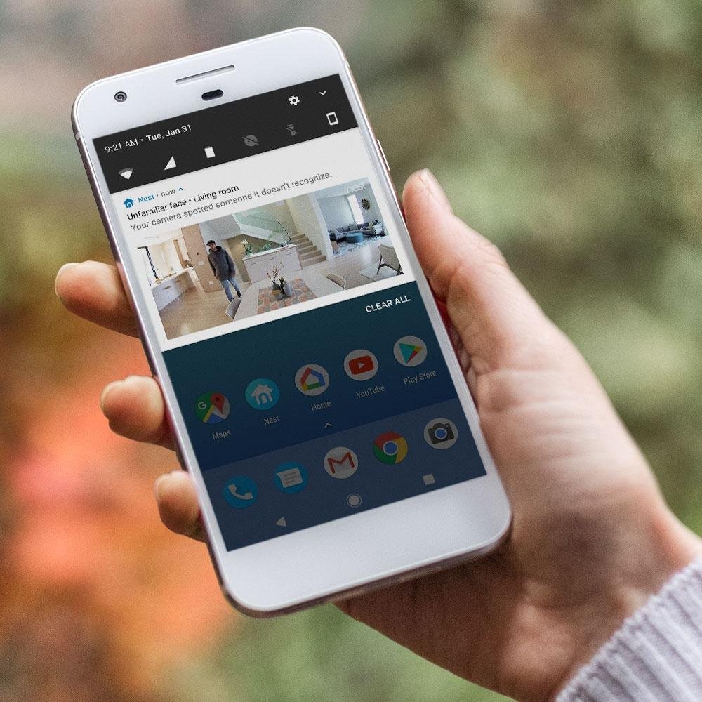Nest Cam IQ, Works with Alexa