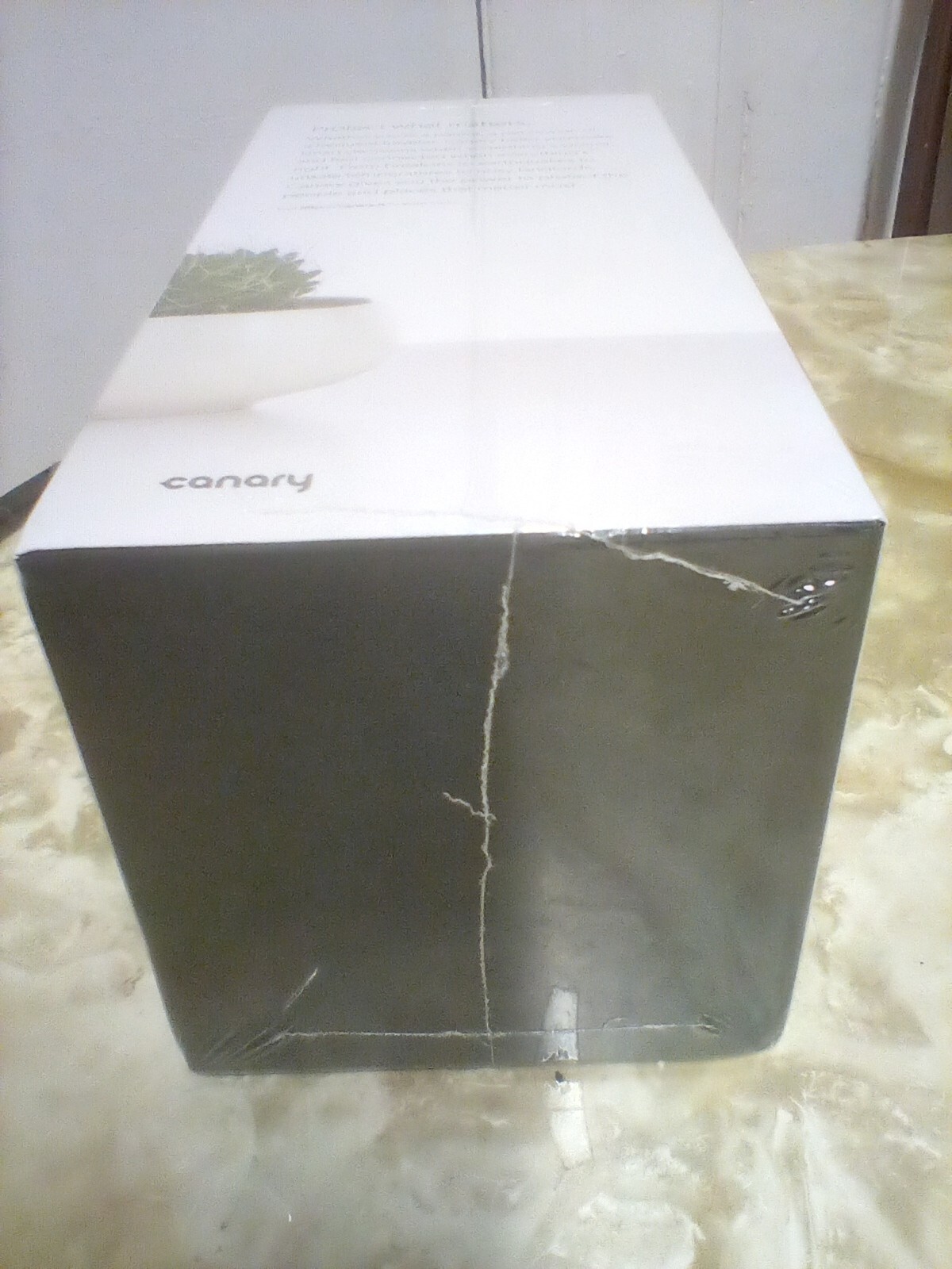 Canary home security